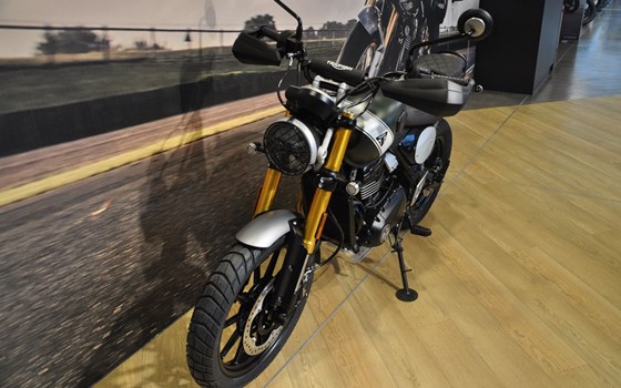 Gebrauchtmotorrad Triumph Scrambler 400 X - Bild 10