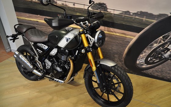 Gebrauchtmotorrad Triumph Scrambler 400 X - Bild 3