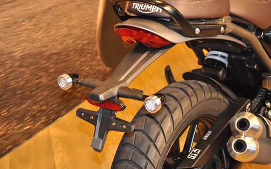 Gebrauchtmotorrad Triumph Scrambler 400 X - Bild 9