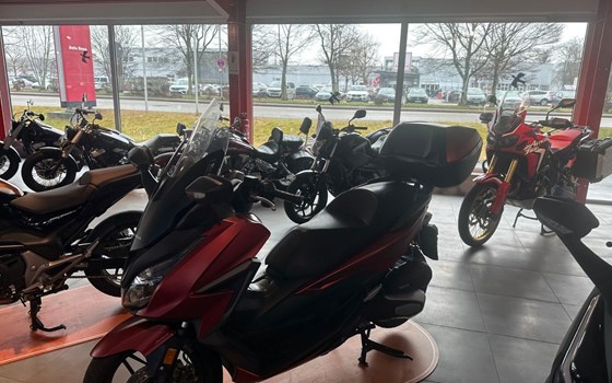 Gebrauchtmotorrad Honda Forza 125 - Bild 2