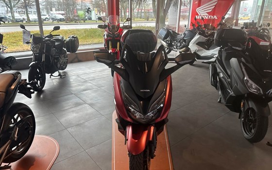Gebrauchtmotorrad Honda Forza 125 - Bild 3