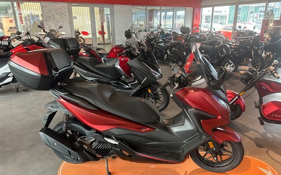 Gebrauchtmotorrad Honda Forza 125 - Bild 4