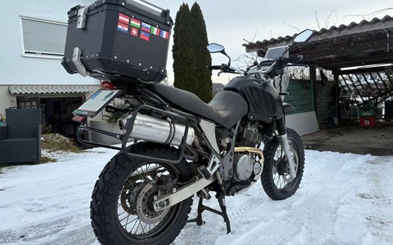 Gebrauchtmotorrad Suzuki XF 650 Freewind - Bild 1