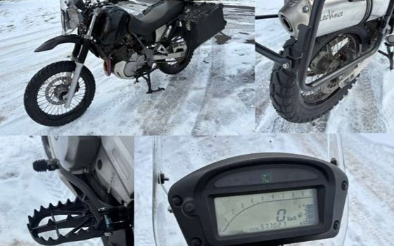 Gebrauchtmotorrad Suzuki XF 650 Freewind - Bild 4