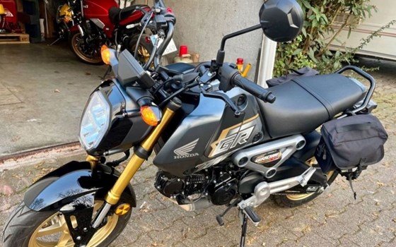 Gebrauchtmotorrad Honda MSX125 Grom - Bild 2