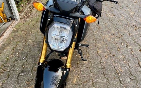 Gebrauchtmotorrad Honda MSX125 Grom - Bild 3