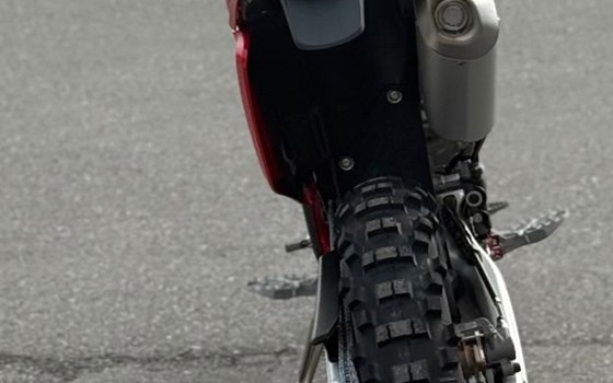 Neufahrzeug GASGAS EC 500F - Bild 4