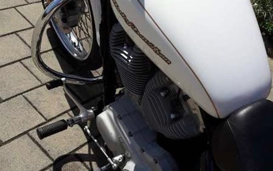 Gebrauchtmotorrad Harley-Davidson Sportster XL 883 C Custom - Bild 2