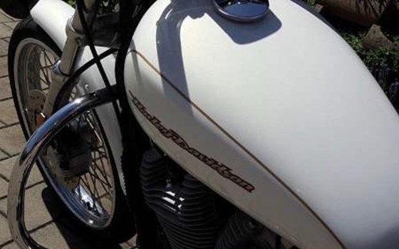 Gebrauchtmotorrad Harley-Davidson Sportster XL 883 C Custom - Bild 3