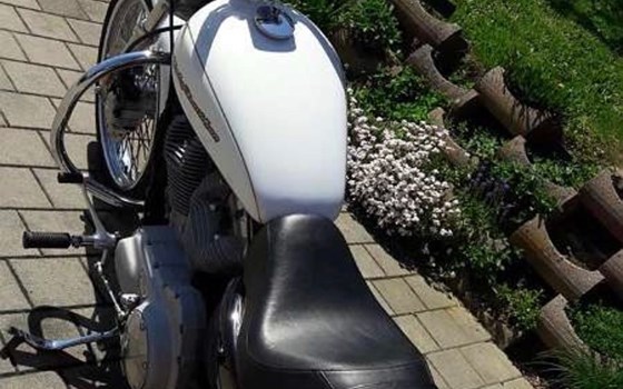 Gebrauchtmotorrad Harley-Davidson Sportster XL 883 C Custom - Bild 4