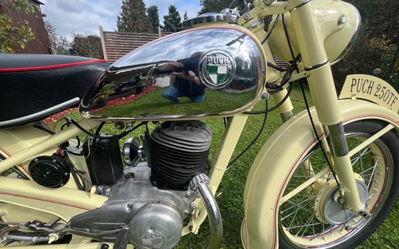 Gebrauchtmotorrad Puch 250 TF - Bild 5