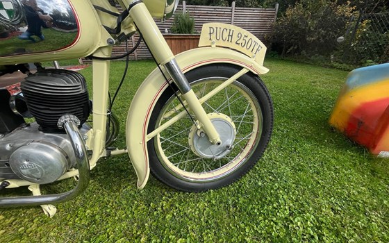 Gebrauchtmotorrad Puch 250 TF - Bild 6