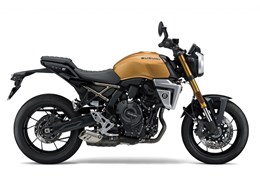 Neumotorrad Suzuki GSX-8T