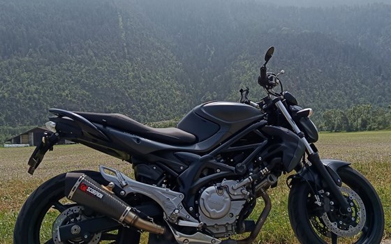 Motorrad Occasion Suzuki SV650 - Bild 2