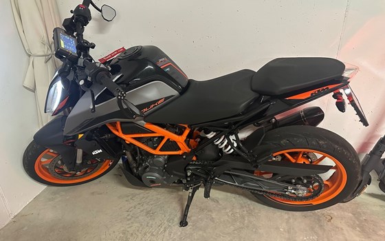Motorrad Occasion KTM 390 Duke - Bild 1