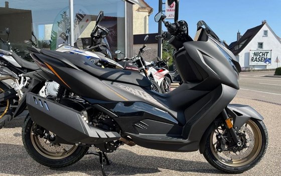 Neufahrzeug Zontes 368 D - Bild 5