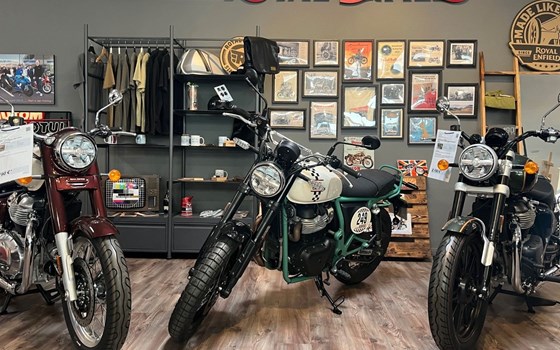 Gebrauchtmotorrad Royal Enfield Bear 650 - Bild 2