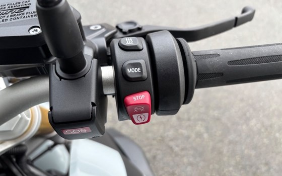 Gebrauchtmotorrad BMW R 1250 R - Bild 13