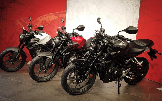 Neufahrzeug Honda CB125R - Bild 9