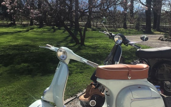 Gebrauchtmotorrad Vespa 125 Super - Bild 1