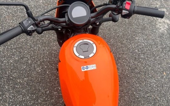 Neufahrzeug Honda CMX500 Rebel - Bild 5