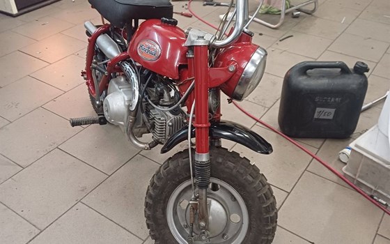 Gebrauchtmotorrad Honda Monkey - Bild 2