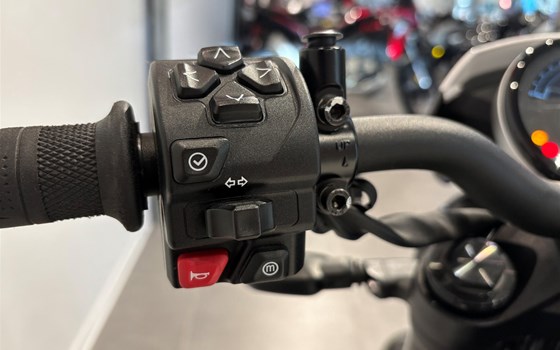 Gebrauchtmotorrad Triumph Trident 660 - Bild 10