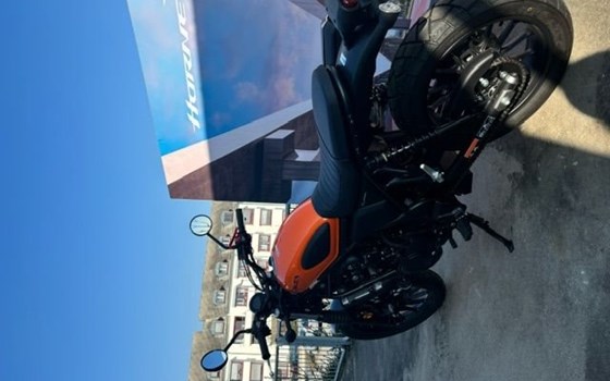 Gebrauchtmotorrad Honda CL500 - Bild 2