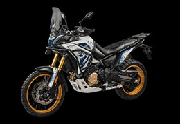 Neumotorrad Voge DS800X Rally