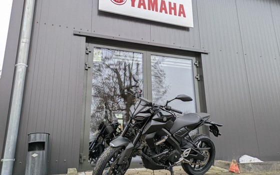 Gebrauchtmotorrad Yamaha MT-125 - Bild 1