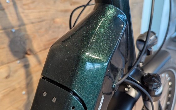 Neufahrzeug Trenoli TANARO CLASSICO ACTIVE PLUS - Bild 5