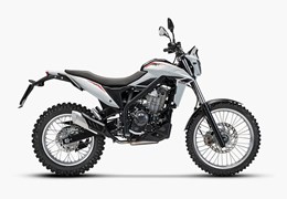 Neumotorrad Beta Alp 4.0