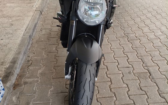 Gebrauchtmotorrad MV Agusta Brutale 800 - Bild 4