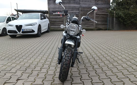 Gebrauchtmotorrad Honda Monkey 125 - Bild 3