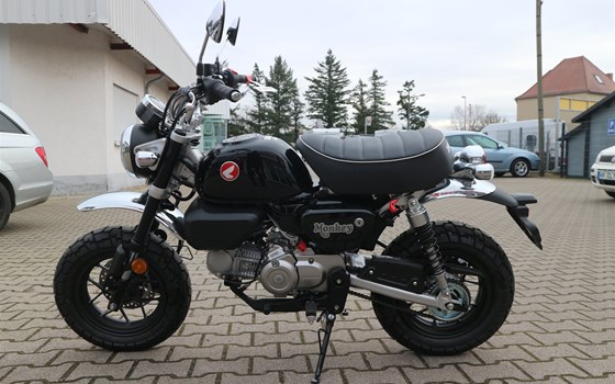 Gebrauchtmotorrad Honda Monkey 125 - Bild 4