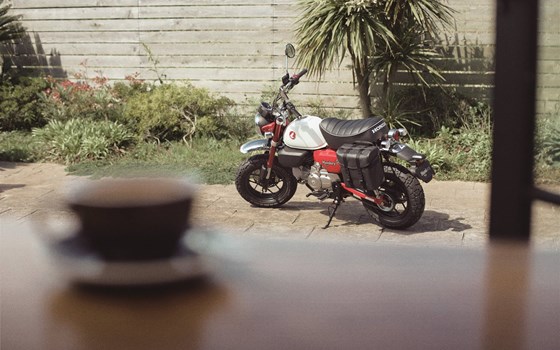 Gebrauchtmotorrad Honda Monkey 125 - Bild 13