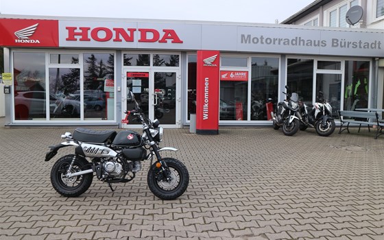 Gebrauchtmotorrad Honda Monkey 125 - Bild 1