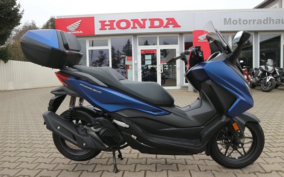 Gebrauchtmotorrad Honda Forza 125 - Bild 2
