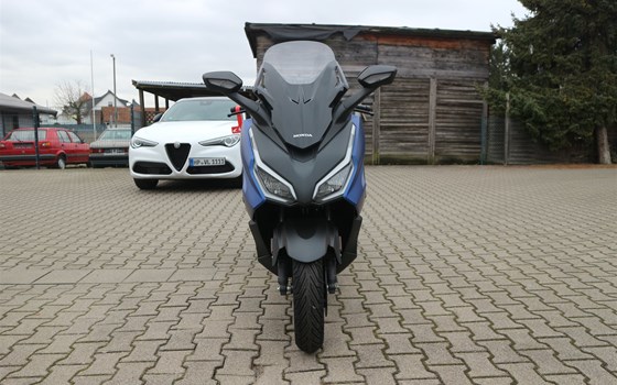 Gebrauchtmotorrad Honda Forza 125 - Bild 3