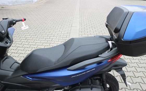 Gebrauchtmotorrad Honda Forza 125 - Bild 7