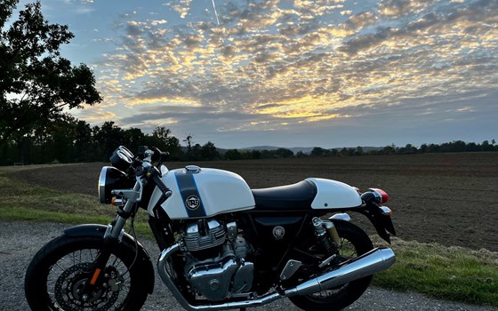 Gebrauchtmotorrad Royal Enfield Continental GT - Bild 6