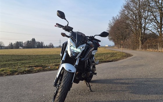 Gebrauchtmotorrad Honda CB650F - Bild 9