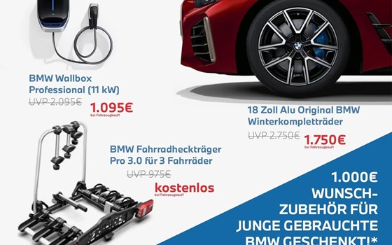 Gebrauchtmotorrad BMW R 1250 RS - Bild 2