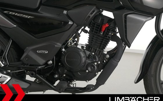 Gebrauchtmotorrad Honda CB125F - Bild 20
