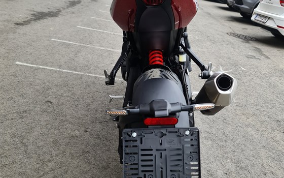 Neufahrzeug Triumph Trident 800 - Bild 6