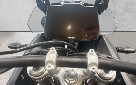 Neufahrzeug Triumph Tiger 900 Alpine Edition - Bild 4