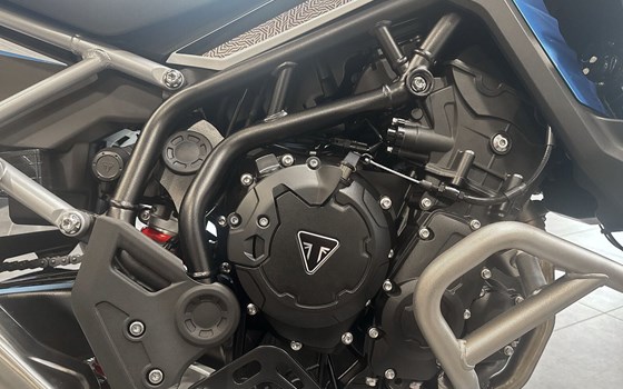 Neufahrzeug Triumph Tiger 900 Alpine Edition - Bild 5