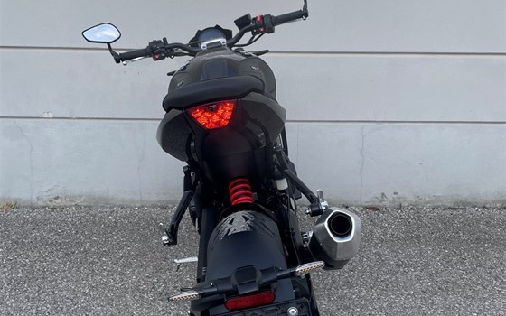 Neufahrzeug Triumph Trident 800 - Bild 11