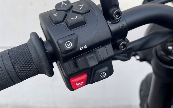 Neufahrzeug Triumph Trident 800 - Bild 14