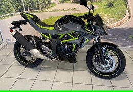 Neumotorrad Kawasaki Z125